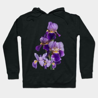Irises Flower Plant Gardening Gardener Tennessee Hoodie